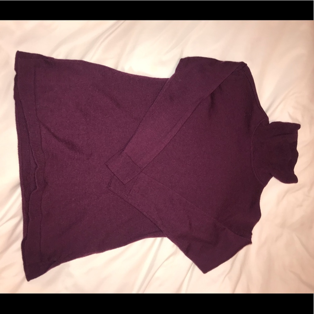 Talbots Pure Merino Wool Turtleneck